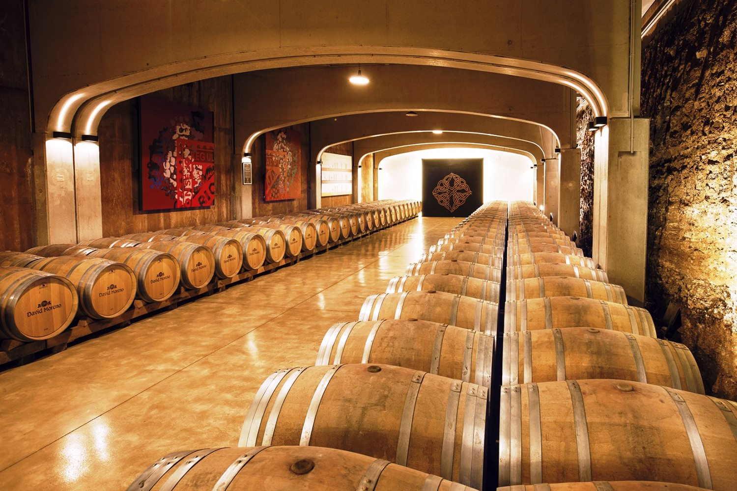 Visita Bodegas David Moreno