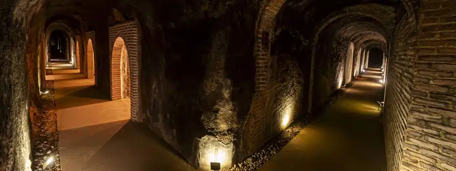 Visita Bodegas de Alberto