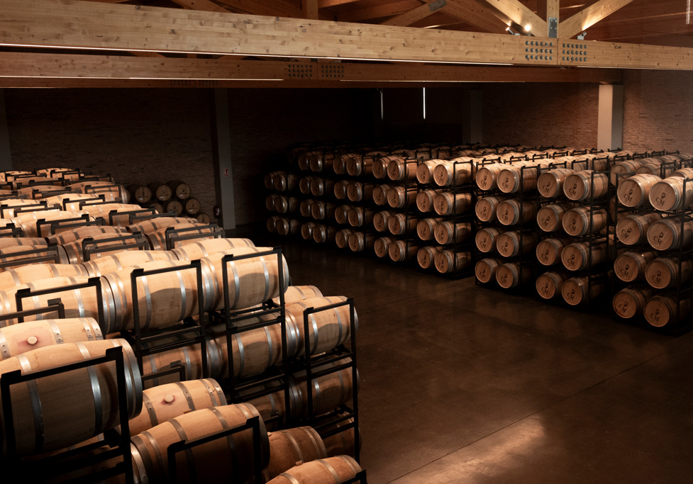 Visita Bodega CM de Matarromera
