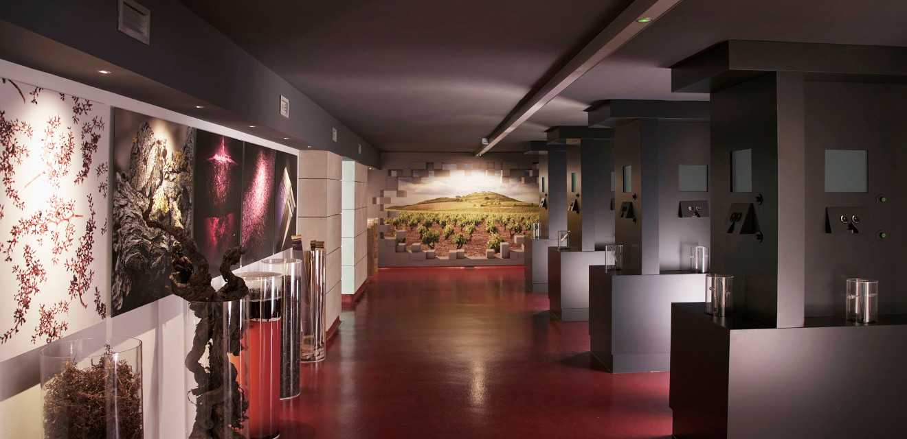 SENSACIONES DEL VINO 2026  - CASTELLANO