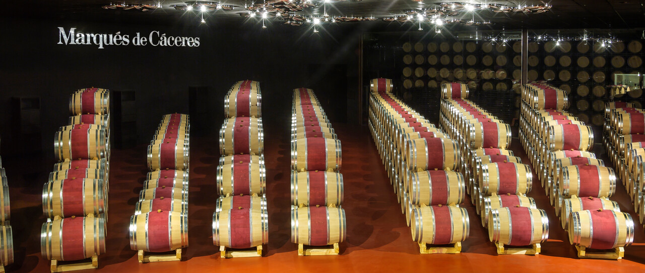 Visita con Maridaje: Vinos Premium y Queso